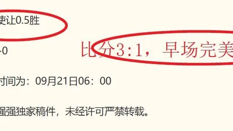品玩新品盘点熊猫体育：2026年度终极选购指南